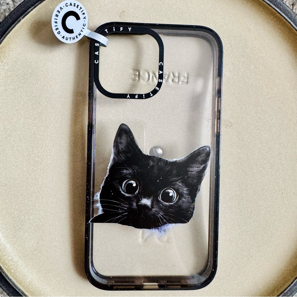 iPhone 13 Pro Max Casetify case in Pretty Please Cat design